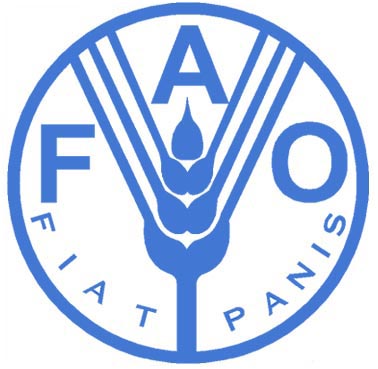 FAO Hợp tác quốc tế góp phần quan trọng chống lại nạn đói