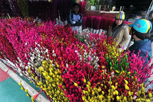 春花上街