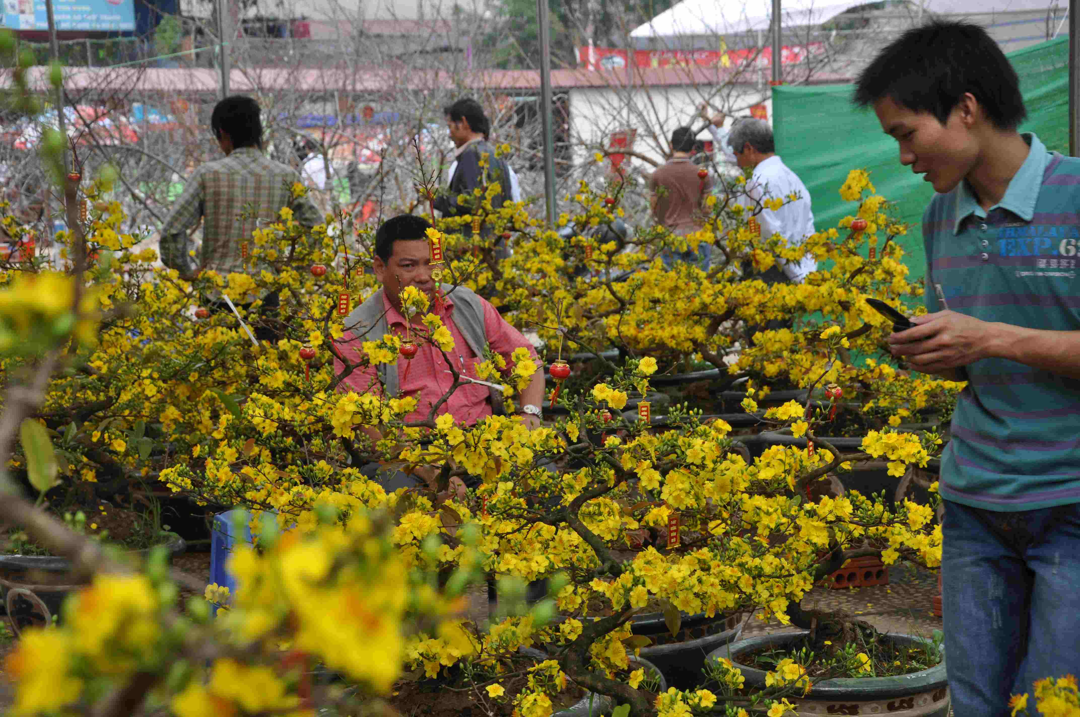 Agricultural products to be showcased at Spring Fair 2012