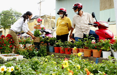 Marchés des fleurs du printemps à Ho Chi Minh-Ville