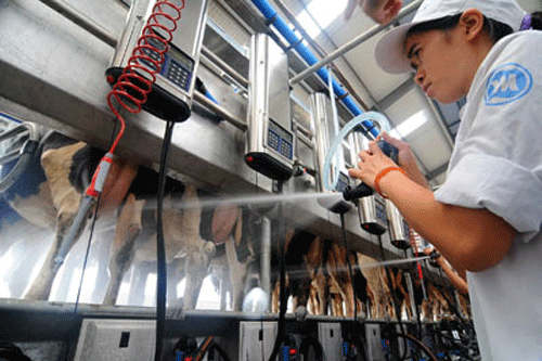 Vinamilk’s revenue exceeds USD 1 billion in 2011