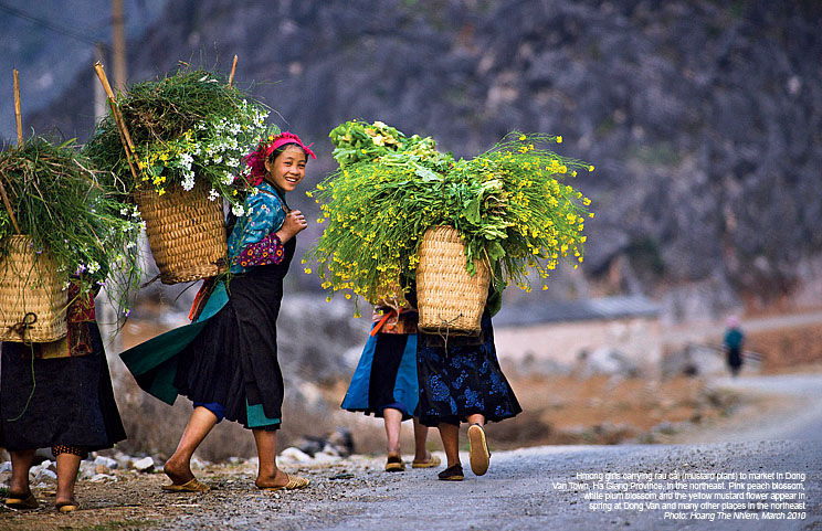 Expo-photo sur les patrimoines du Vietnam à Phan Thiet