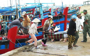 Phú Yên Cần nâng cấp khu vực cảng cá Tuy Hòa