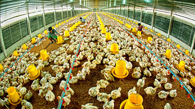 Khai mạc Liên hoan ảnh nghệ thuật miền Đông Nam bộ năm 2012