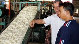 First Vietnam rubber company makes debut in Laos