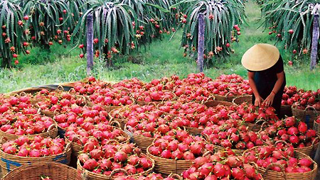 Local exporters eye EU and US markets