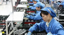 Half of Vietnamese labourers work in agriculture ILO