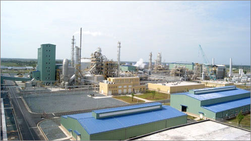 Ca Mau gas, power, fertiliser complex inaugurated