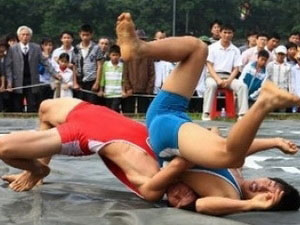 2012年越南全国摔跤锦标赛拉开序幕