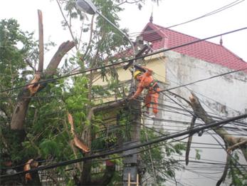 Tập đoàn Điện lực Việt Nam tập trung khắc phục hậu quả cơn bão số 8