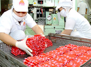 More than VND6 6 trillion for preparation of Tet goods