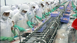 250 Argentinean businesses to conduct survey in Vietnam