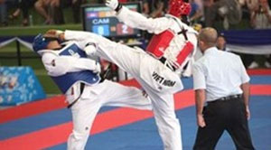World Military Taekwondo Championship wrapped up