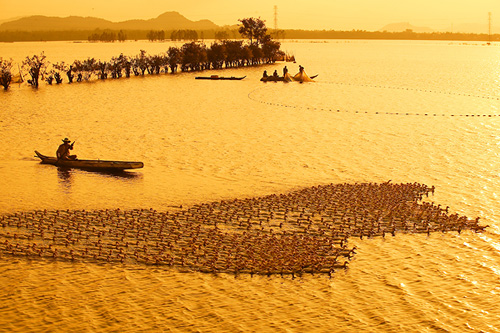 La beauté vietnamienne dans un magazine russe