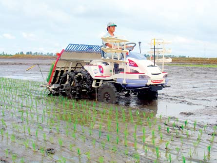 FDI capital density in agriculture was 0 77 percent