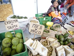 FAO la production céréalière mondiale 2012 en baisse