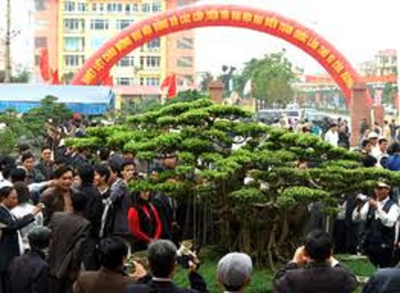 Khai mạc Triển lãm Sinh vật cảnh các tỉnh đồng bằng sông Hồng