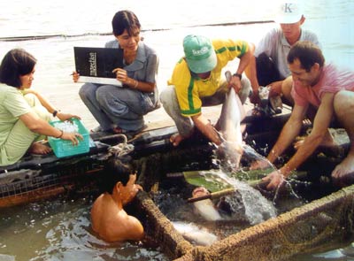 Ten-month agriculture trade surplus posts USD8 74 billion