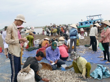 Phát triển bền vững biển, đảo Việt Nam Vượt khó bám biển