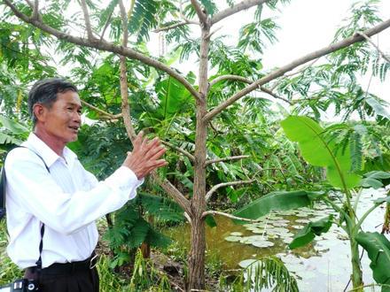 Học Bác để làm giàu cho quê hương
