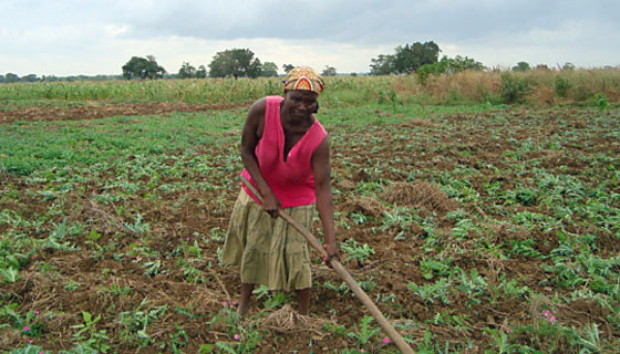 Nạn đói đe doạ miền Tây Bắc Mozambique