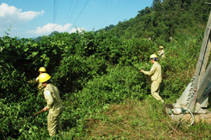 Đến hết năm 2015, EVN phải hoàn thành thoái vốn tại 6 doanh nghiệp