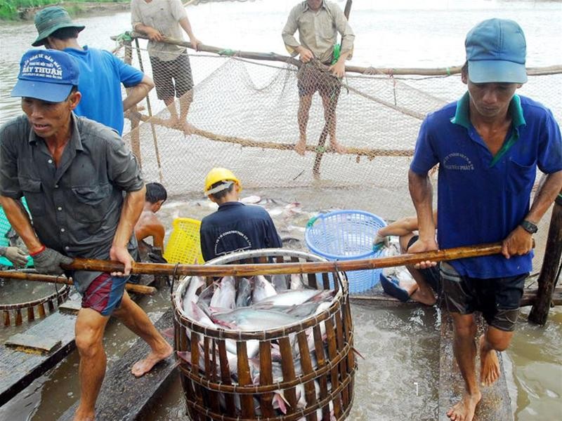 Ten-month seafood exports post more than USD5 08 billion