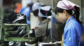 Bright trade prospects between Vietnam and Brazil
