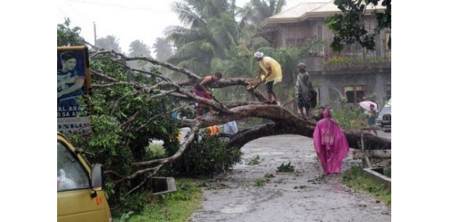 Philippines le typhon Bopha a fait au moins 115 morts