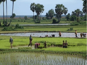 ADB announces 3-Year pipeline of 525 million to promote Cambodia s growth