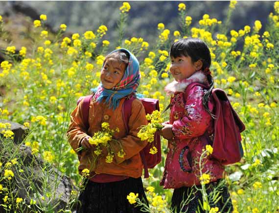 La beauté de tous les régions