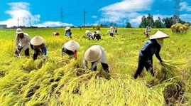 Towards a high quality and sustainable agricultural sector