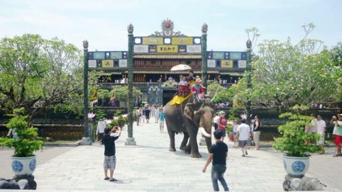 顺化古都接待游客近240万人次