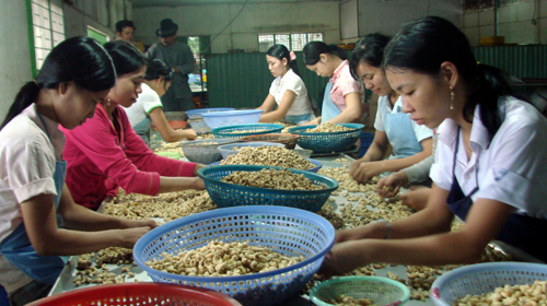 Numerous agricultural commodities exceed the year’s target