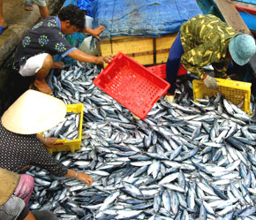 2012 seafood production posts over 5 74 million tonnes