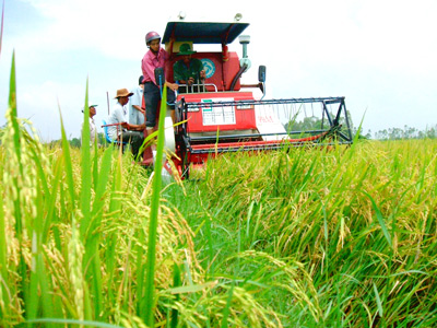 Niềm tin và hy vọng trong Năm mới 2013