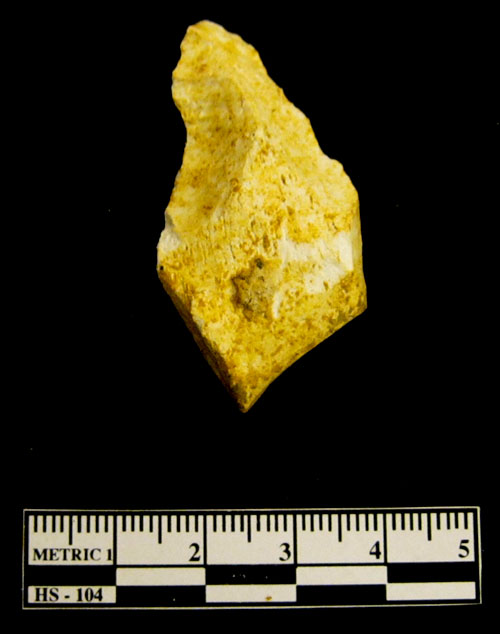 Fossilized mammoth teeth found