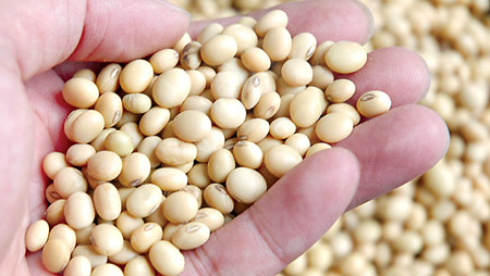 Vietnam increases food links with Argentina