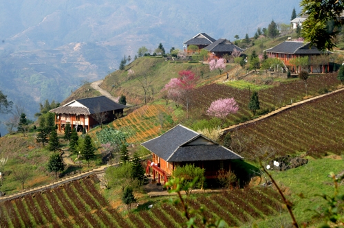 Hành trình Tây Bắc mùa xuân