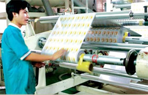 French plastic and packing industries companies to seek opportunities in Vietnam