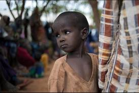 450 millions d enfants menacés de malnutrition