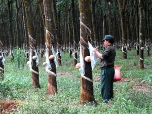 Vietnam leads Cambodian investment in 2011
