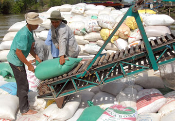 Vinafood 2 to purchase 3 8 million tonnes of paddy