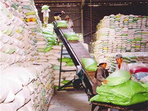 New rice contracts to be signed in week after Tet