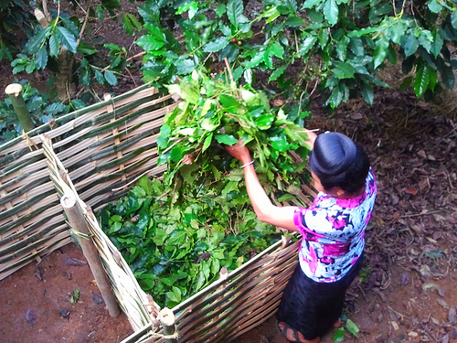 Hội đồng Anh đánh giá cao các ý tưởng sáng tạo thân thiện với môi trường tại Việt Nam