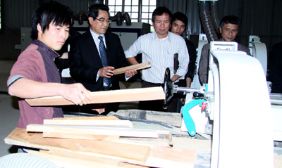 Lao Cai to open forest product processing plant