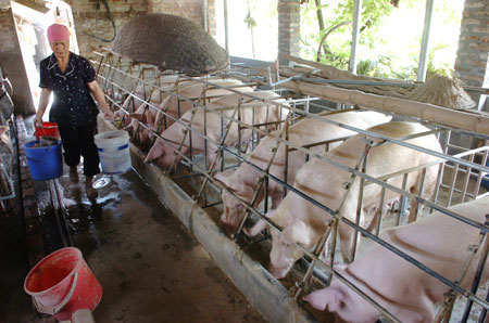 French expertise to support Vietnam’s livestock industry