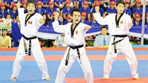 Taekwondo athletes compete in German Open