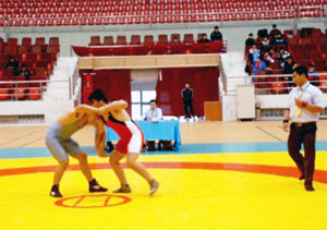 Wrestlers compete for national cup