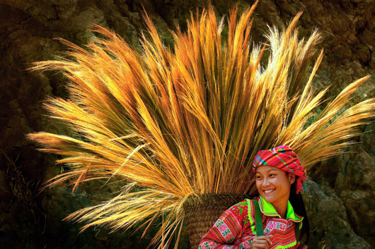 La beauté de la vie quotidienne à travers des oeuvres photographiques